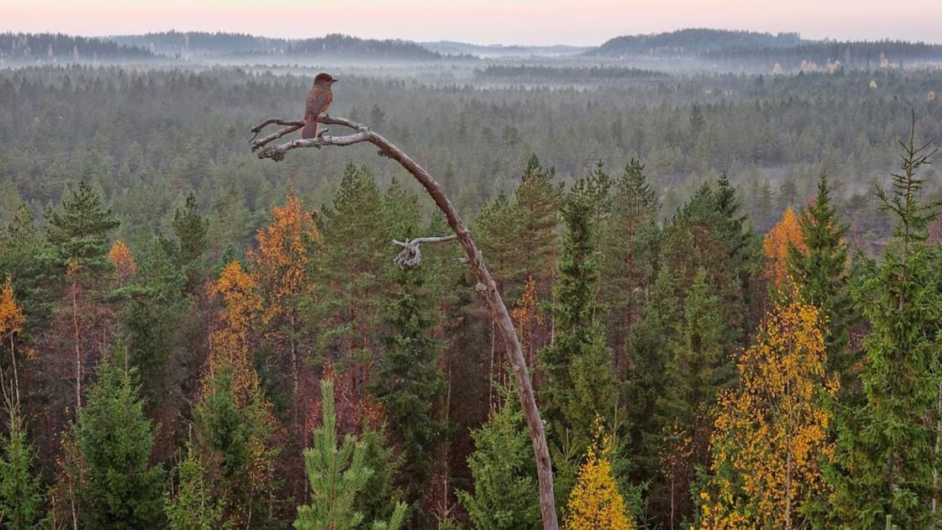 Nature
