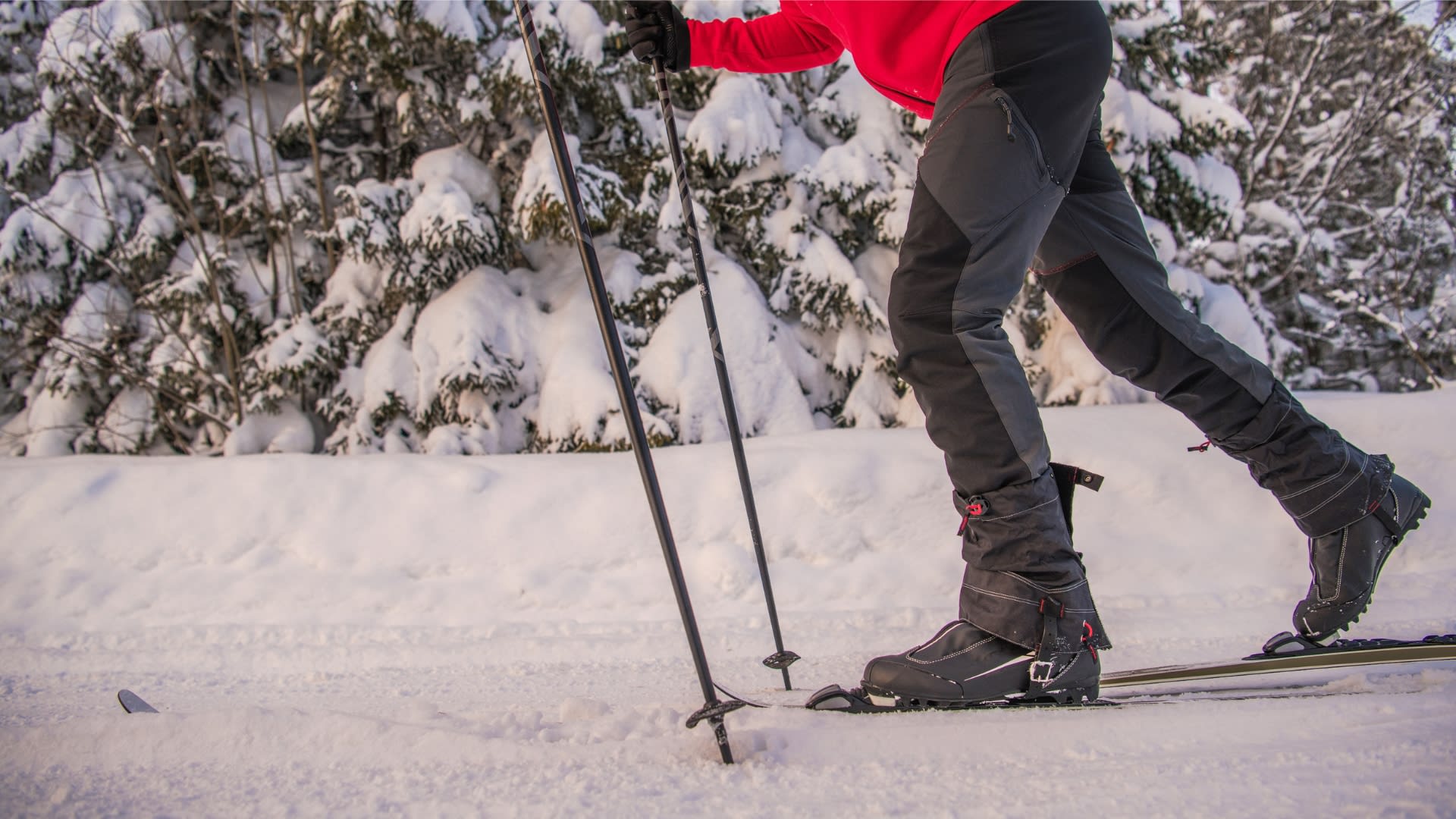 Cross-country skiing