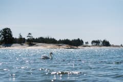 Ainutlaatuinen päivä saaristossa - Kopparnäs