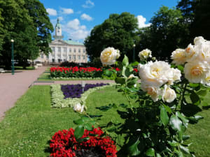 Raatihuoneenpuisto
