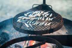 Picnic Excursion and Vendace from Puruvesi