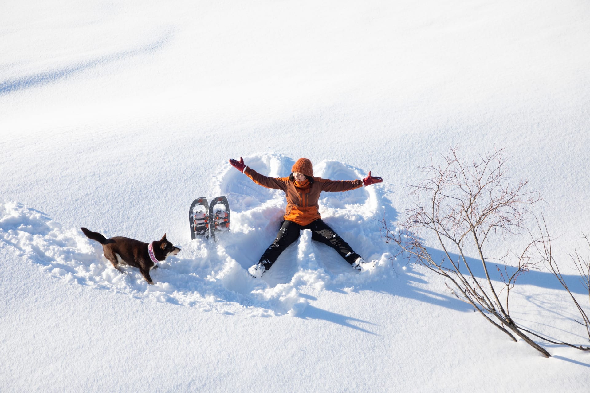 Woman making a snowangel and dog watching her.
