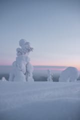 Kelkkasafari Kenttälammen Eräkeskukseen