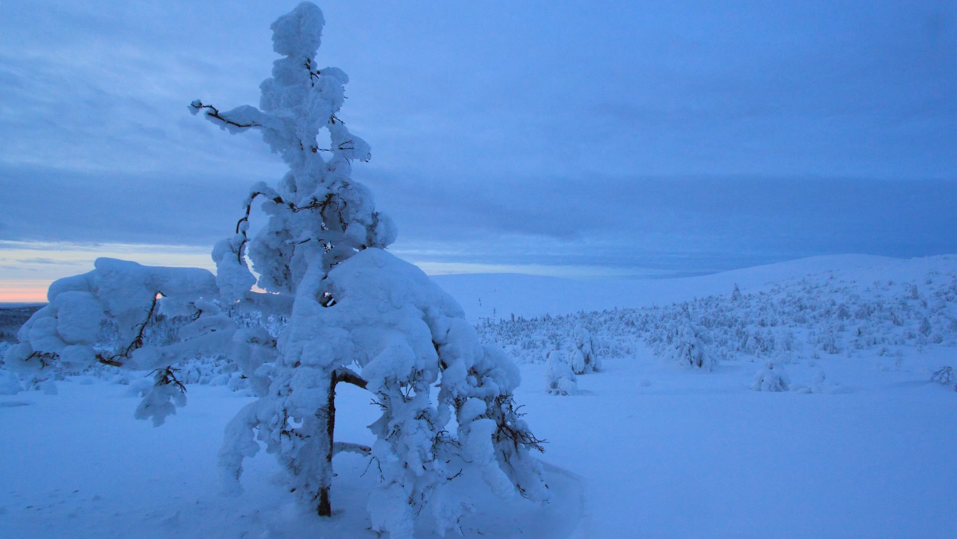 Off the Tracks Ski Tour | Visit Finland