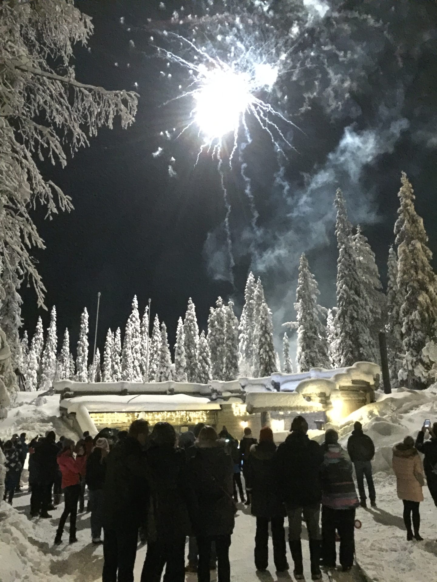 New Year's Dinner in Kuusamo