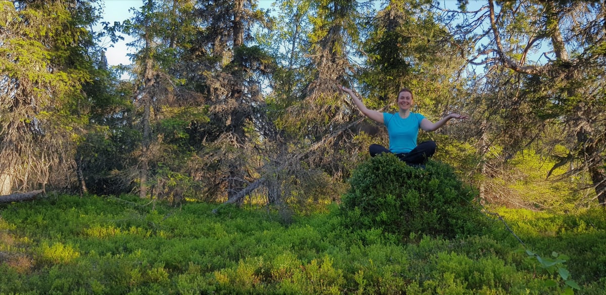 Forest Yoga and Walk in Oulanka National Park