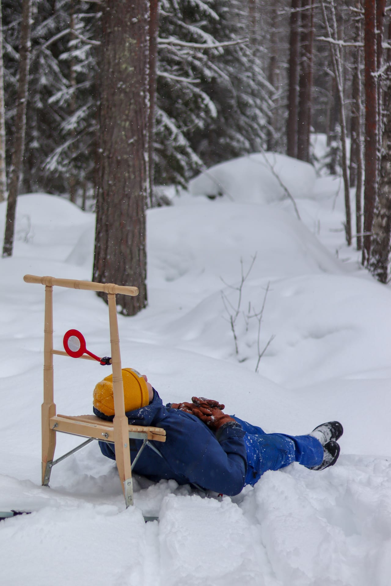 You travel responsibly with your muscle strength, stop, and absorb the holiness of the forest!