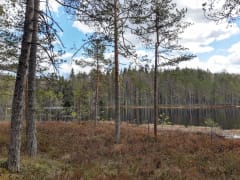 Hiiden polut: Viiden vuoren reitti