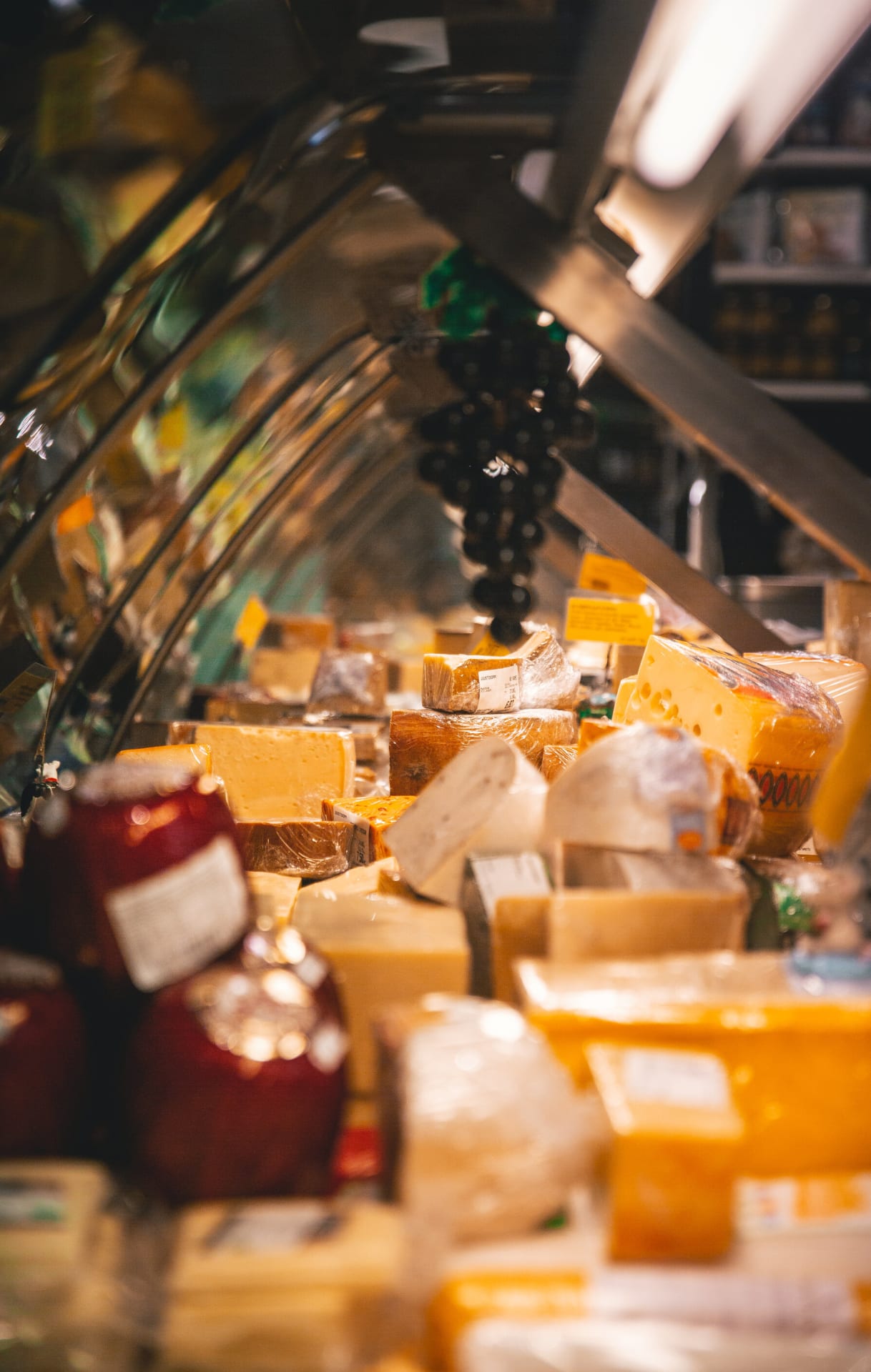 Cheese counter displaying wide variety of cheese types