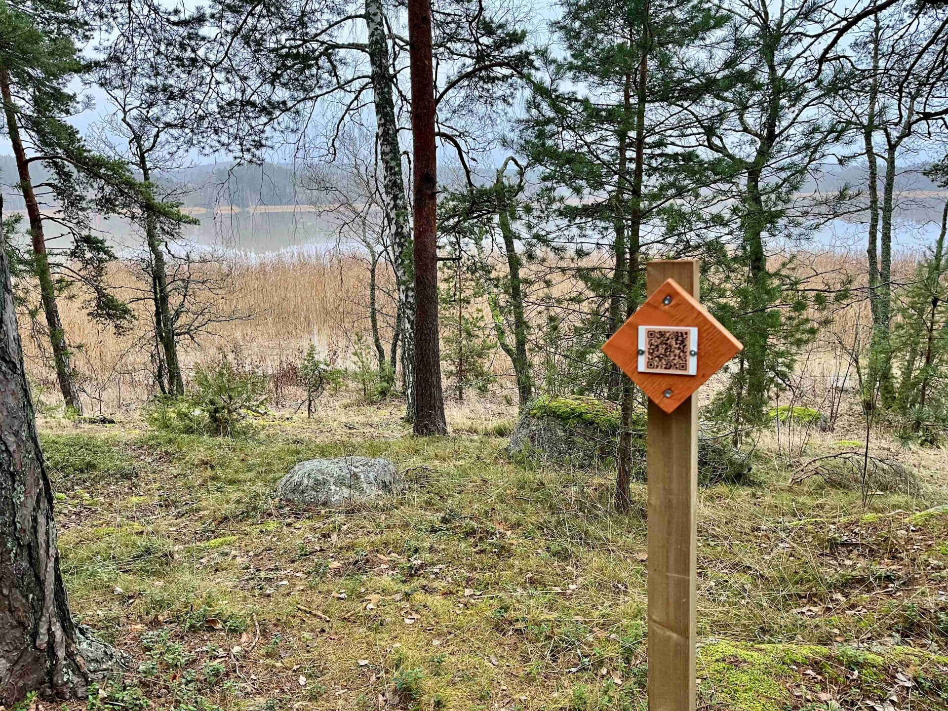 Vuohensaaren rantamaisema