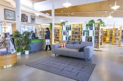 Library - our living roon