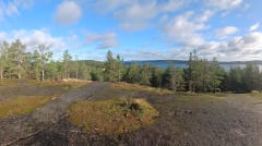 Opastettu 3 tunnin retki Muuratsalon maisemissa