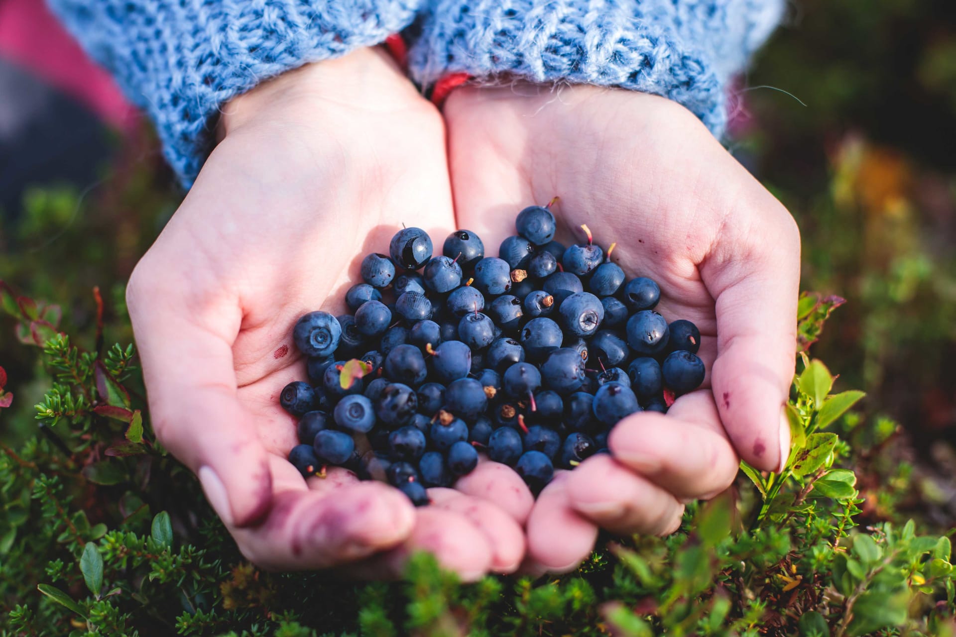 Taste the island of Vartsala