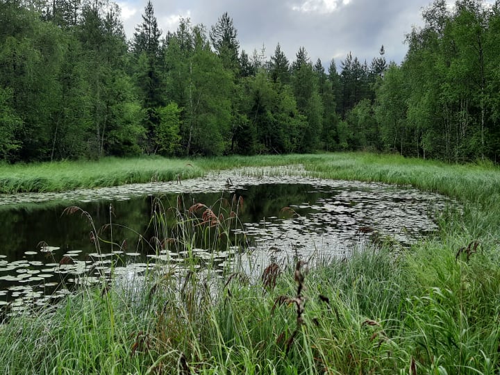 visitii.fi