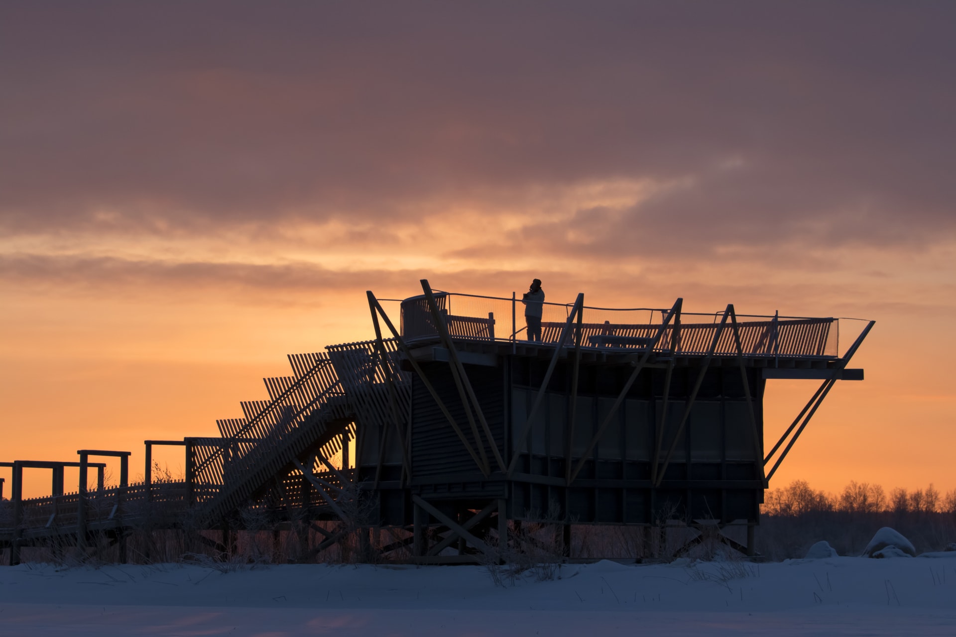 Virkkula Birdwatching tower at sunset.