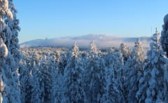 Log Cabin Onnela II in Kuusamo