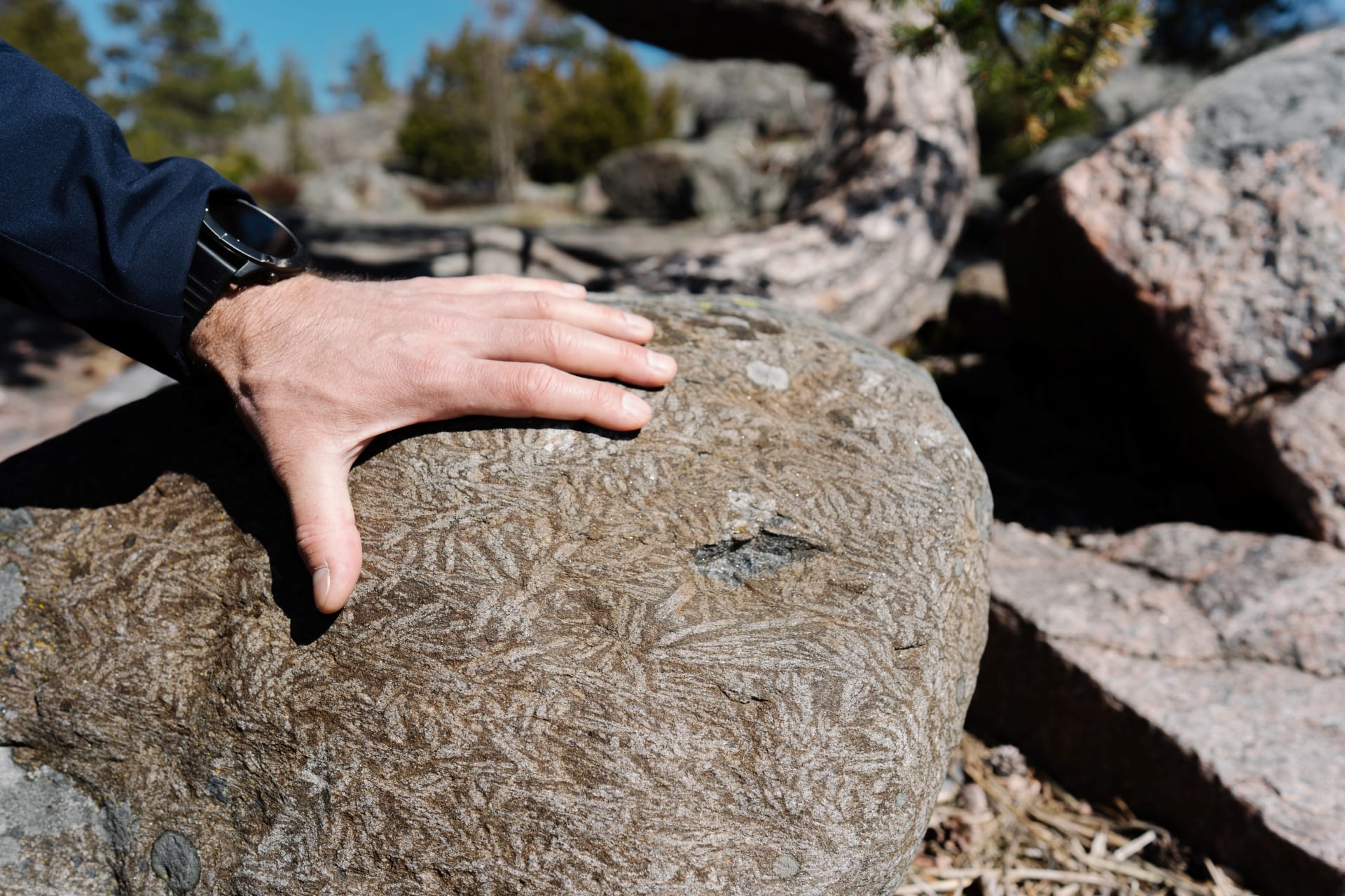 Rocks and prints