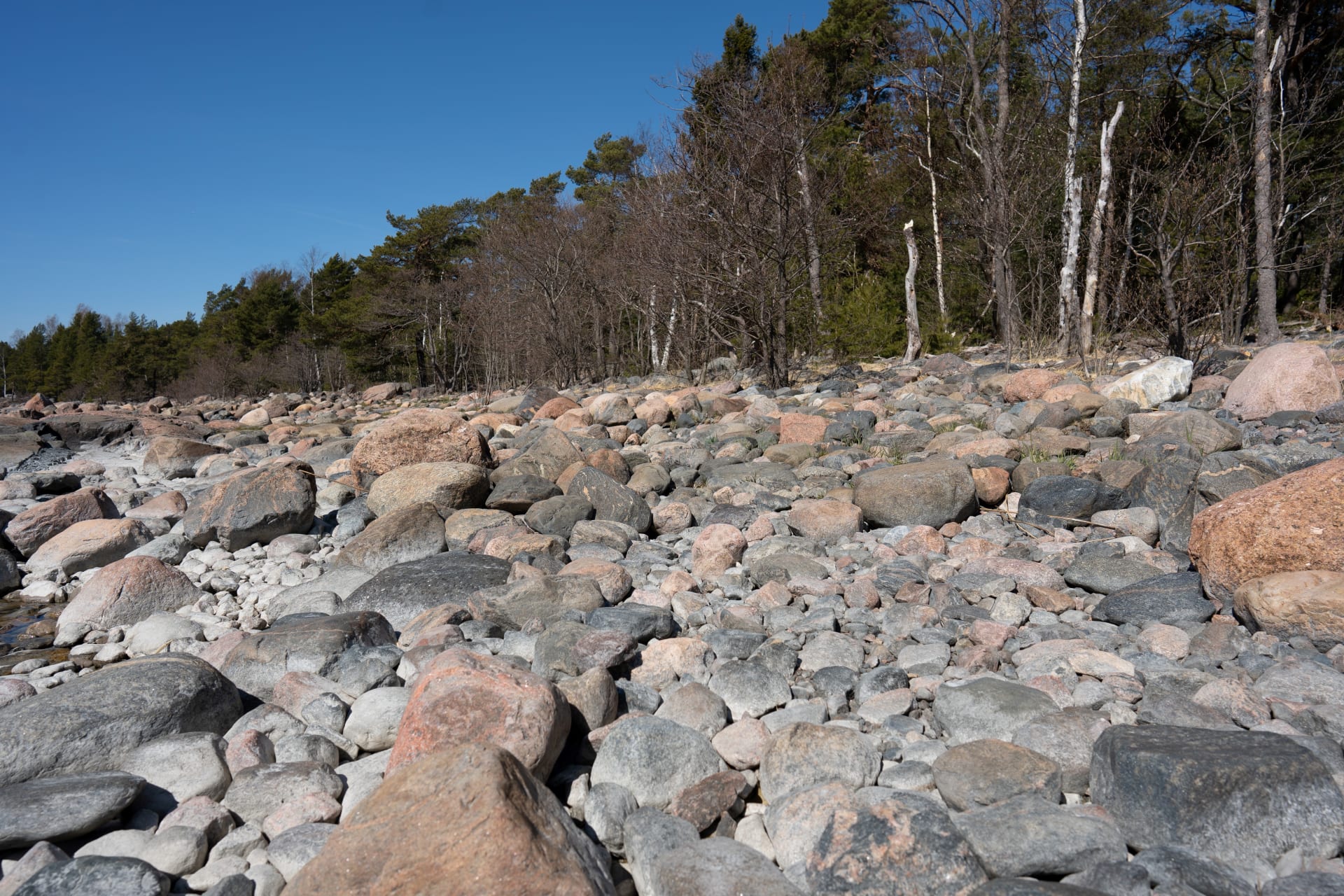 Rocky beach