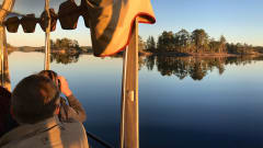 Norppasafari Ecoboatilla Puumalassa. Seal safari by Ecoboat in Puumala.