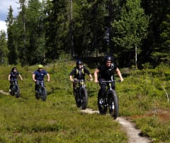 Fatbike metsäretki