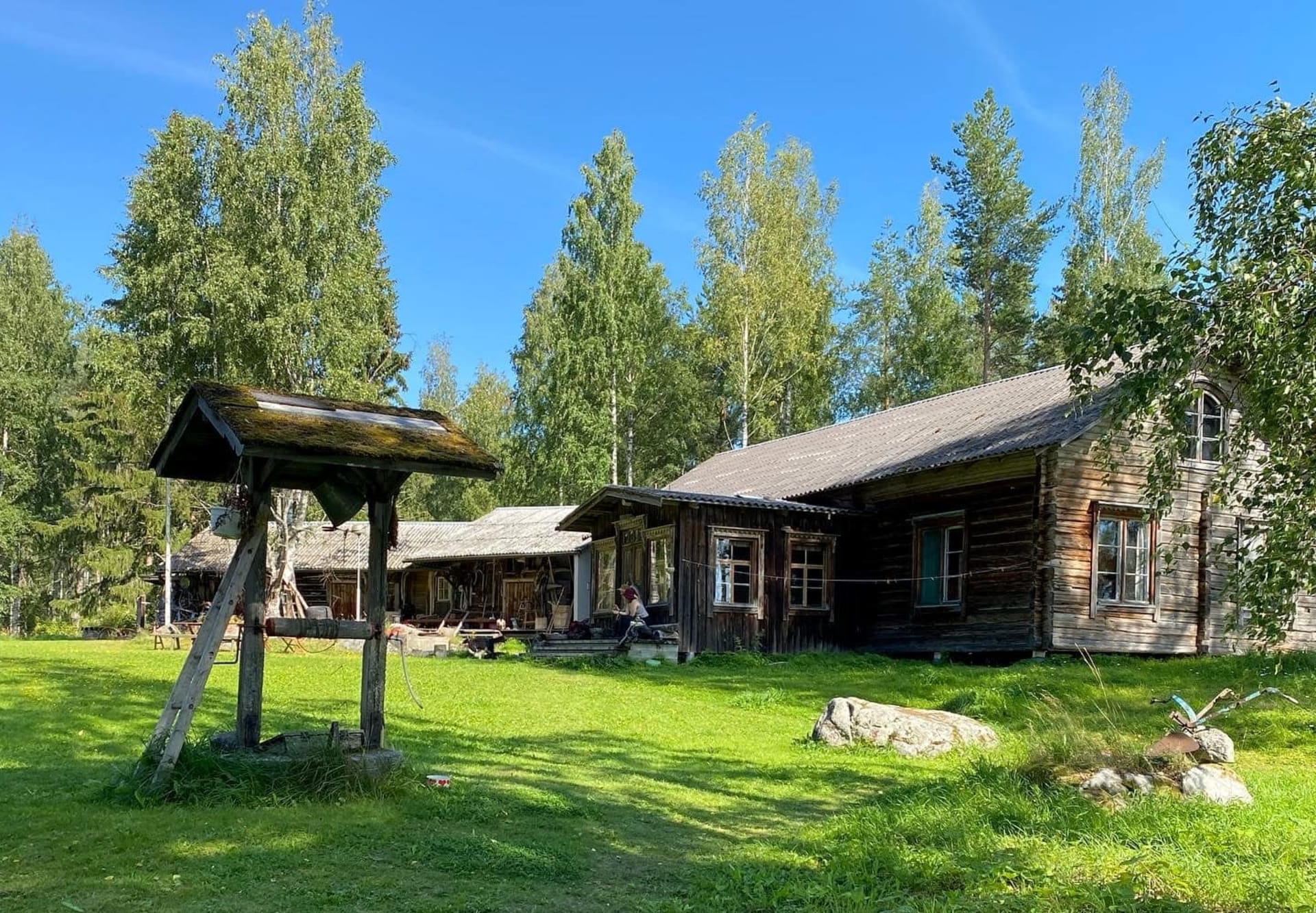 Kolin kansallispuisto