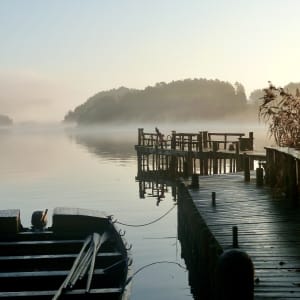 Rauhaa