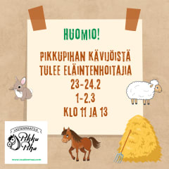 Talviloman eläintenhoitajat Pikkupihalla