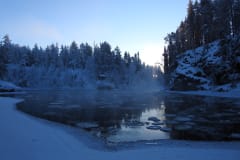 Lumikenkäretki Oulangan koskille - private