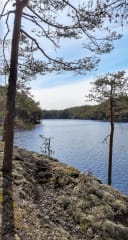 Sarkaslammen georeitti