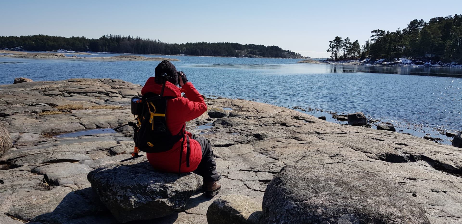 Bird watching in the Finnish Archipelago