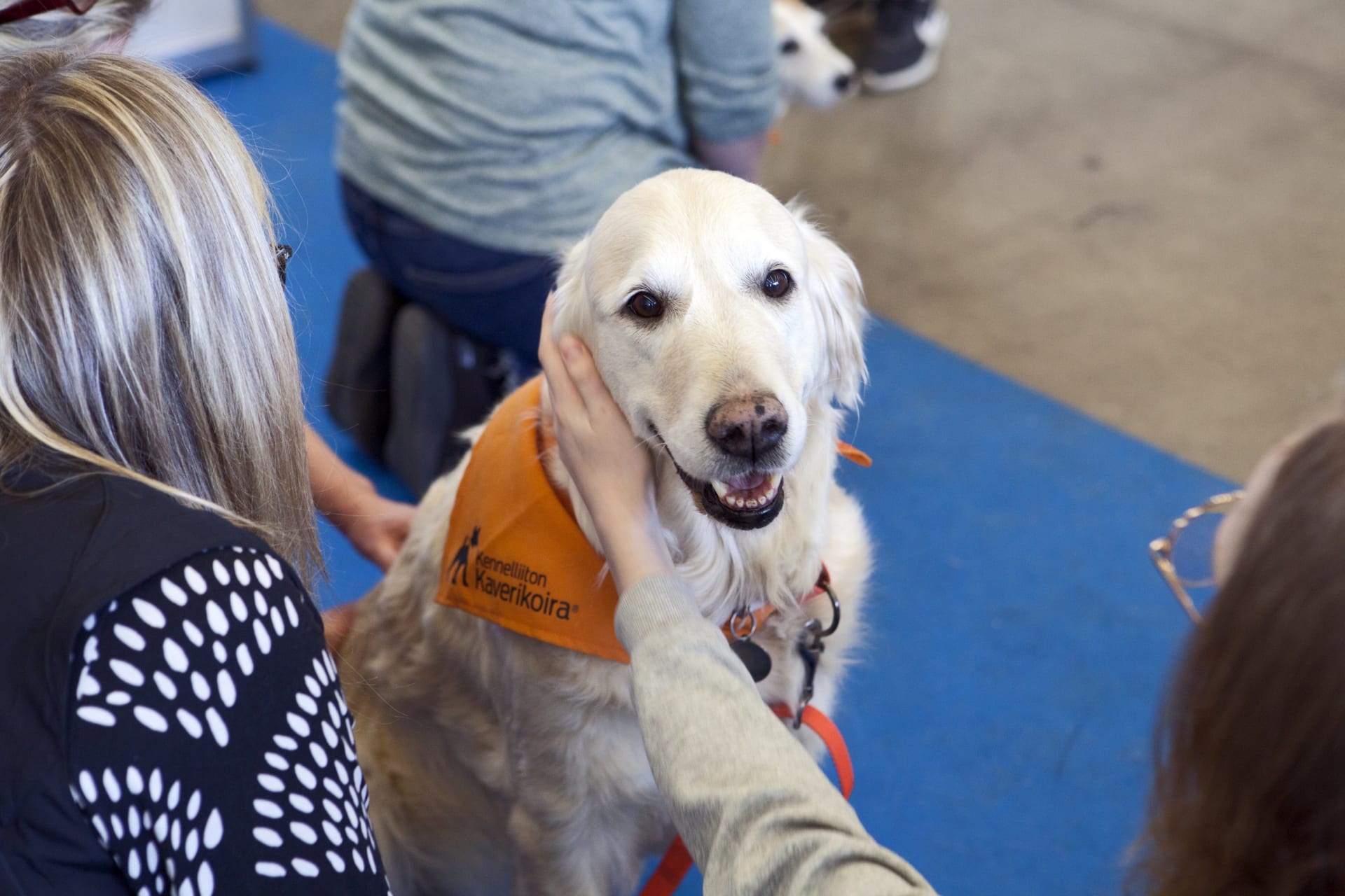 Pet Exhibition Helsinki