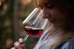 Wine in the Dark Woods