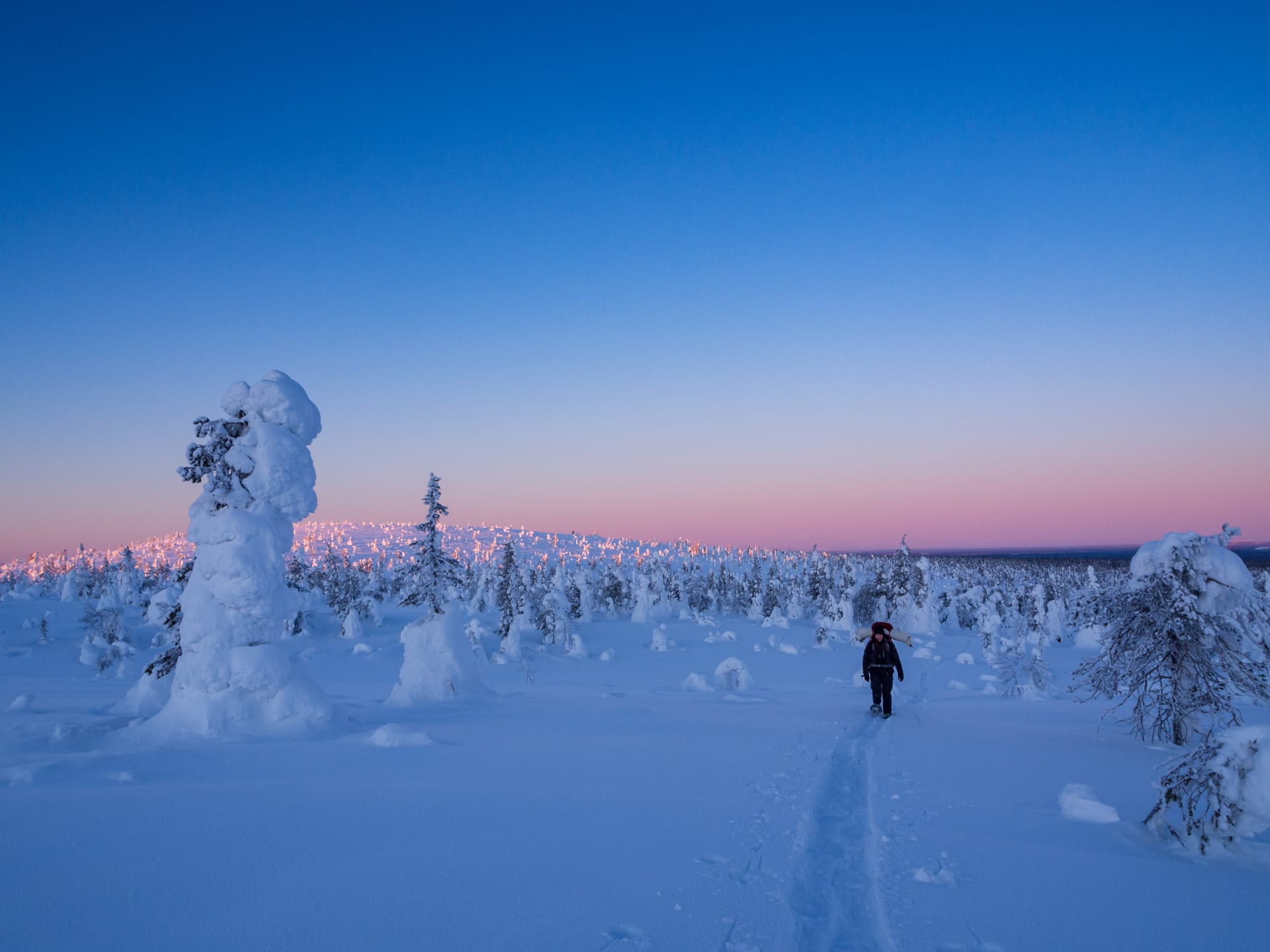 Snowshoeing in Riisitunturi National park