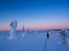 Lumikenkäily Riisitunturin kansallispuistossa