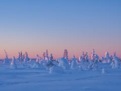 Snowshoeing in Riisitunturi National park