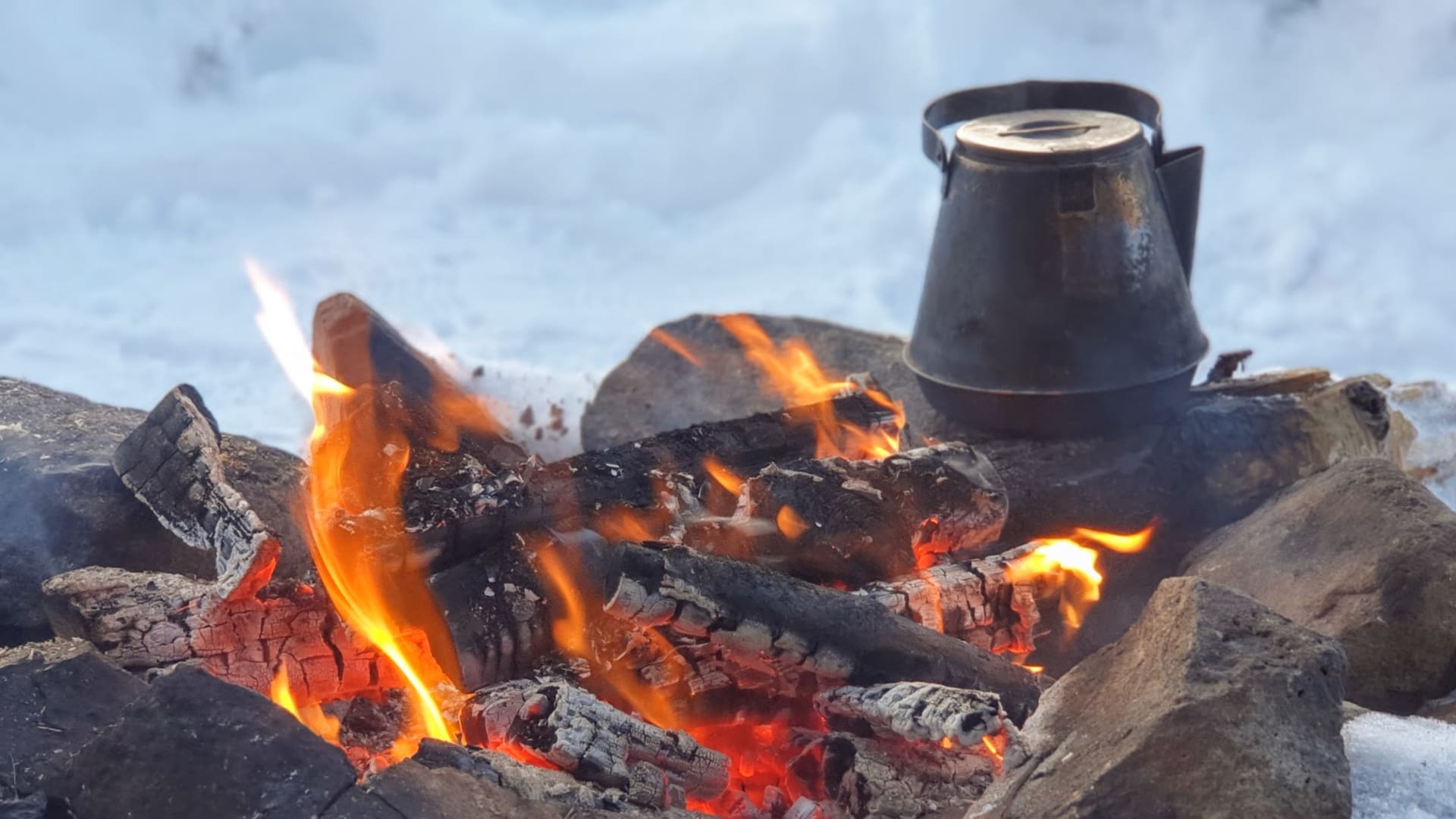 An outdoor picnic lunch around a campfire is served during the tour