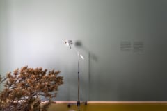 Huone 109: Parantava luonto