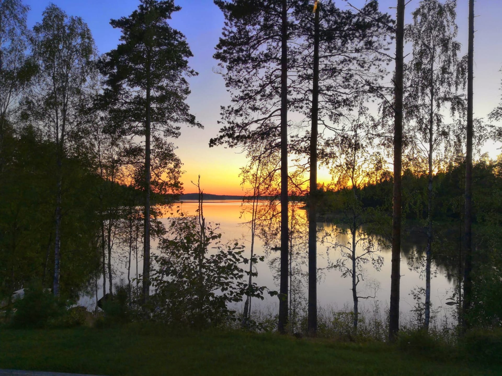 summer landscape