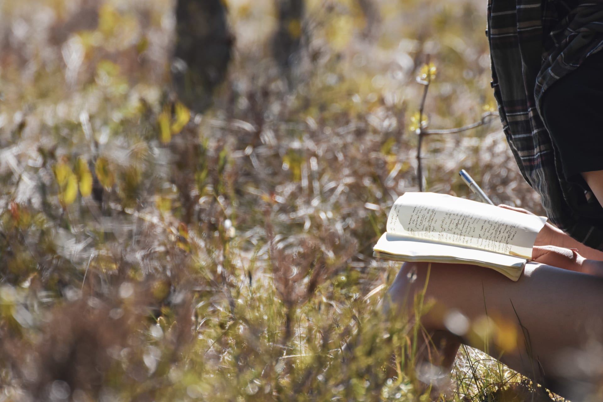 Words in Woods | Visit Finland
