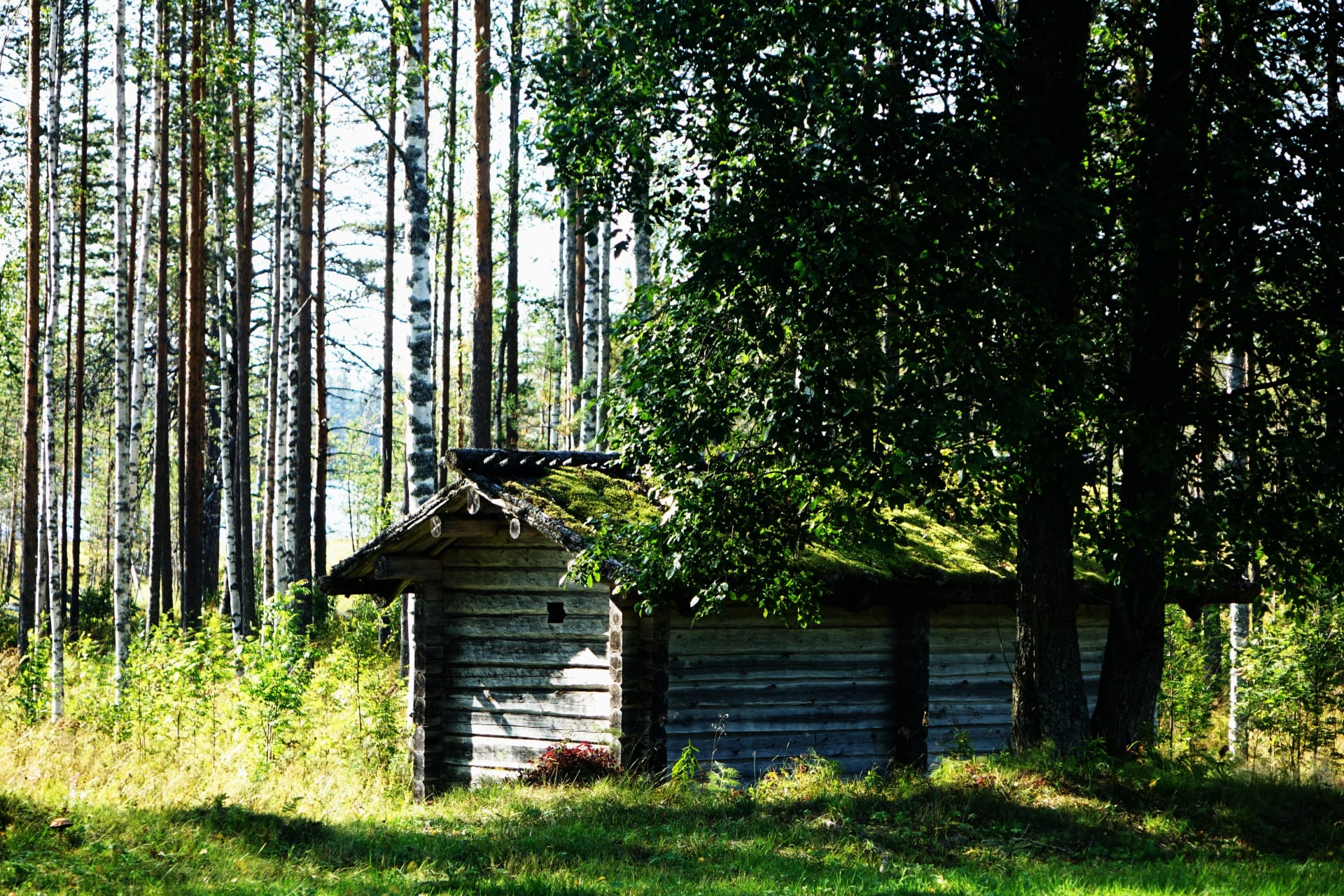 https://aksytammat.fi/en/p/38/hiking-tours-in-two-national-parks-and-nature-reserve-area