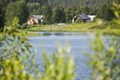 From the other side of lake Patalahti