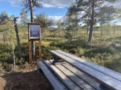Neva-Lyly peatlands with duckboards.
