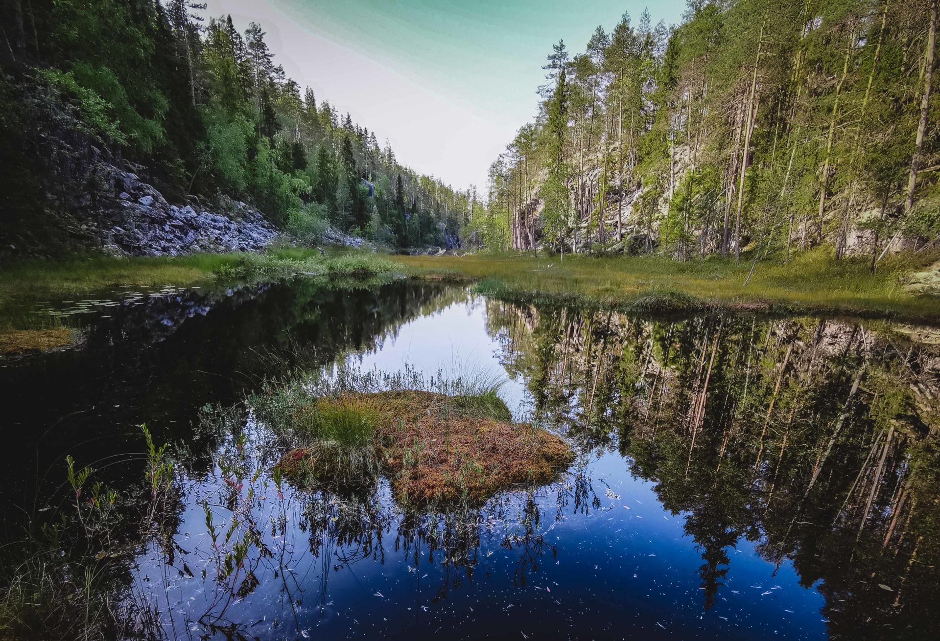 www.aksytammat.fi