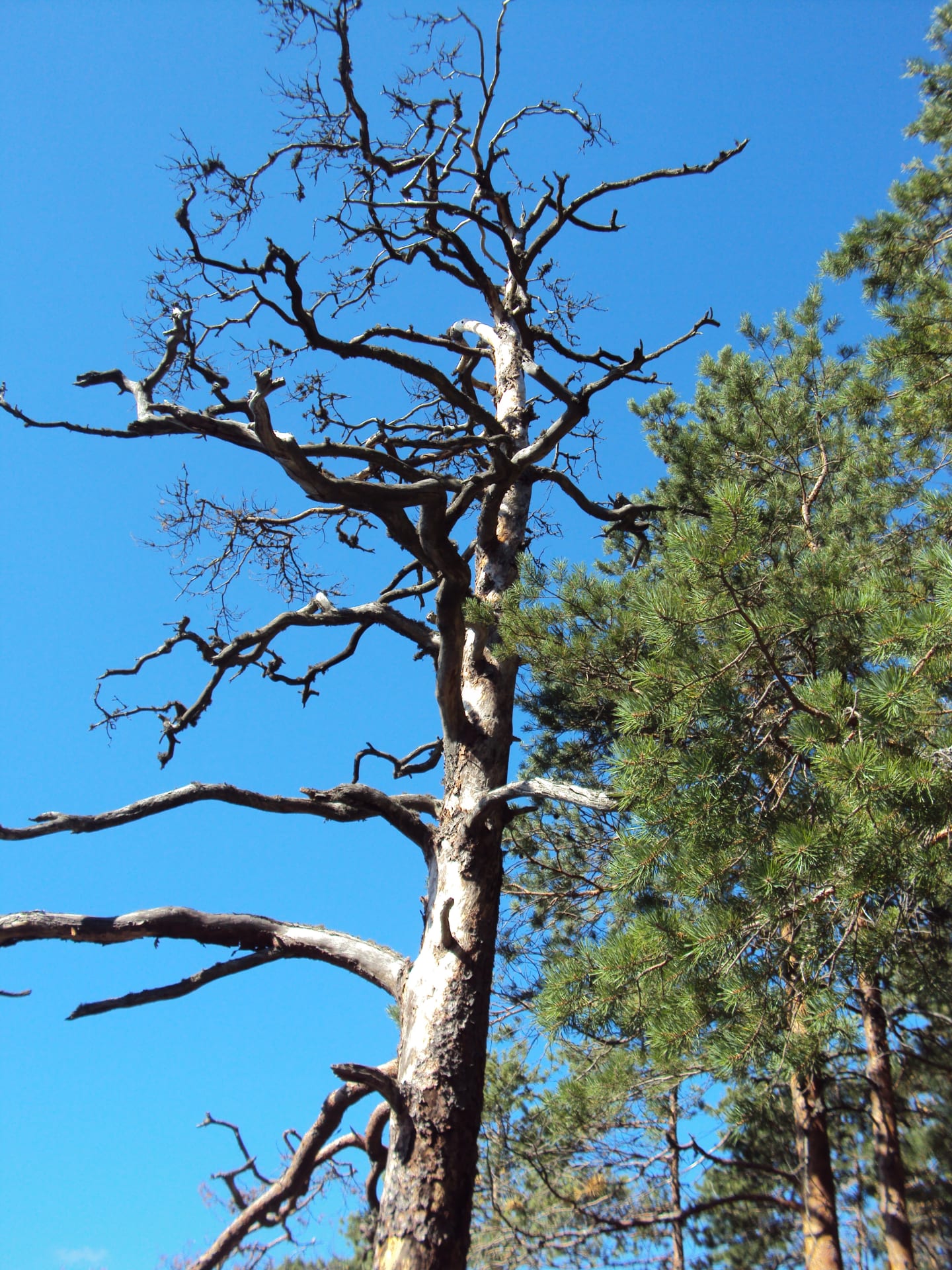 Nature and hiking tour in National Parks in Deepland