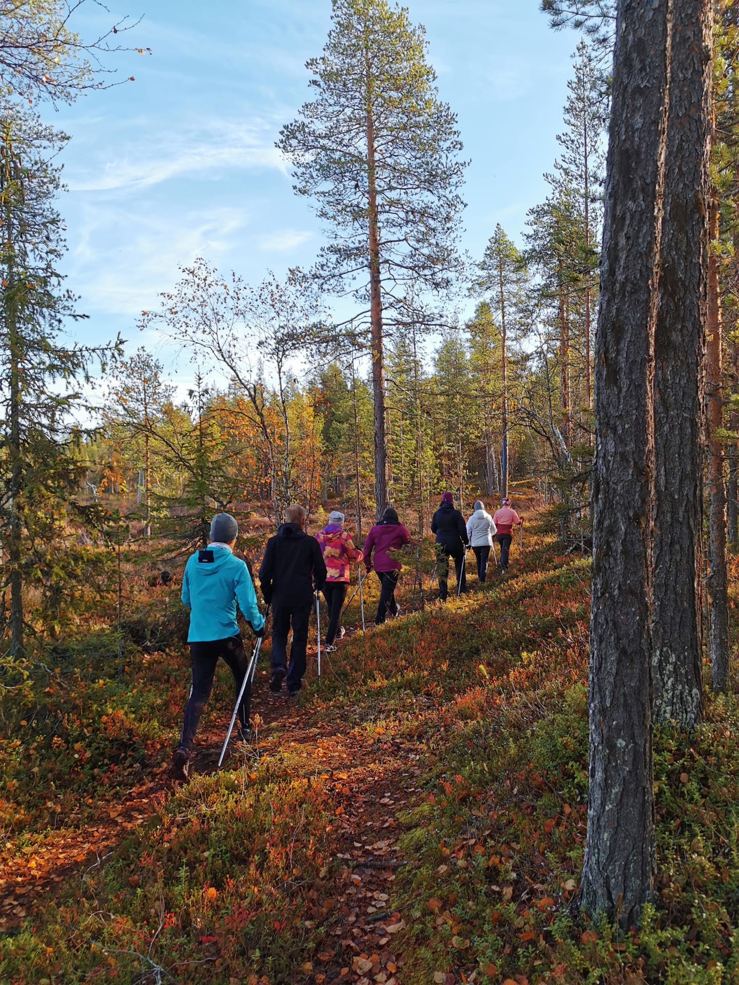 Autumn Foliage on a Hiking Trip