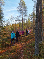 Autumn Foliage on a Hiking Trip