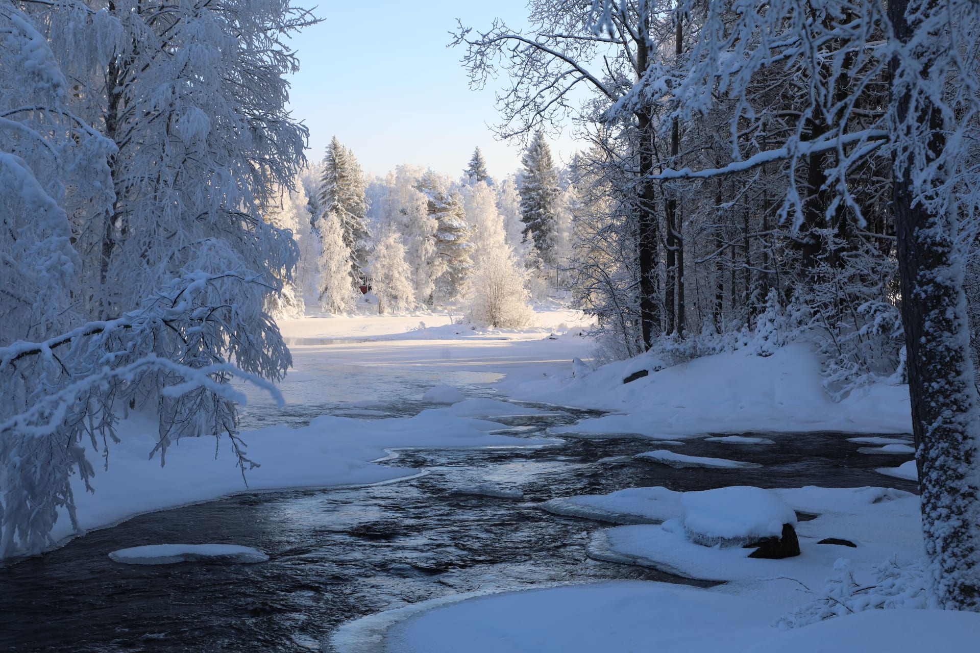 Hiisi Rapids offers home to an otter couple.