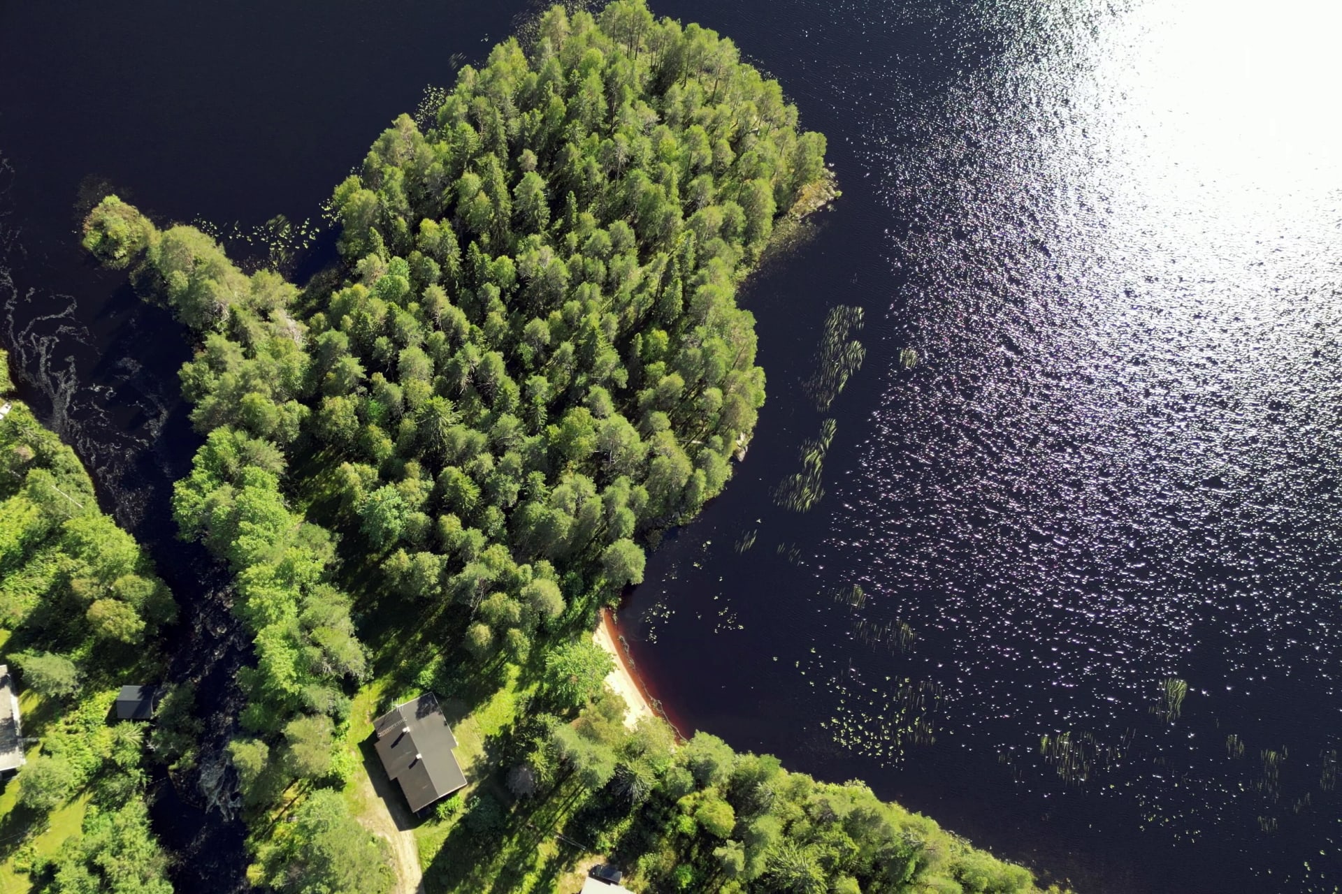 Private hideout with natural beauty - Hiisi Lodge