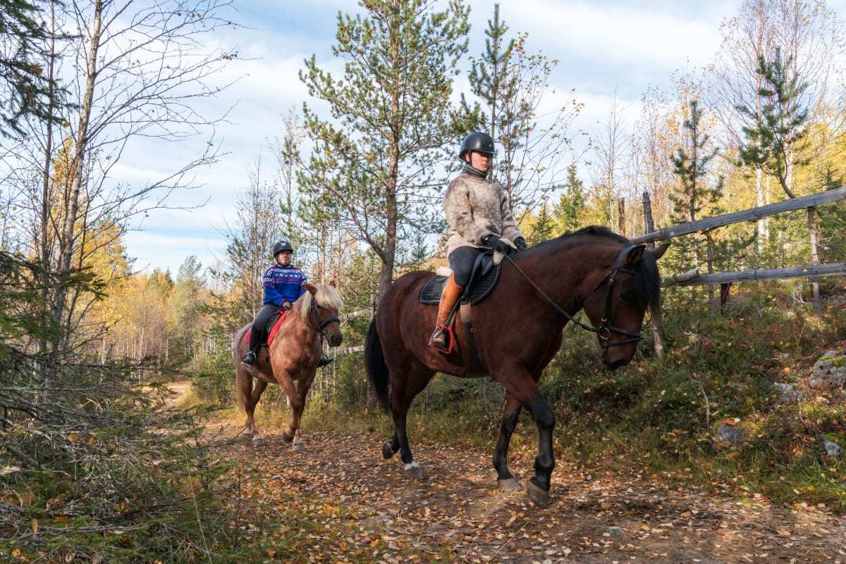 1,5h forest riding trip and farm visit | Visit Finland