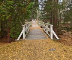 Ainolan puisto Oulu on Autum